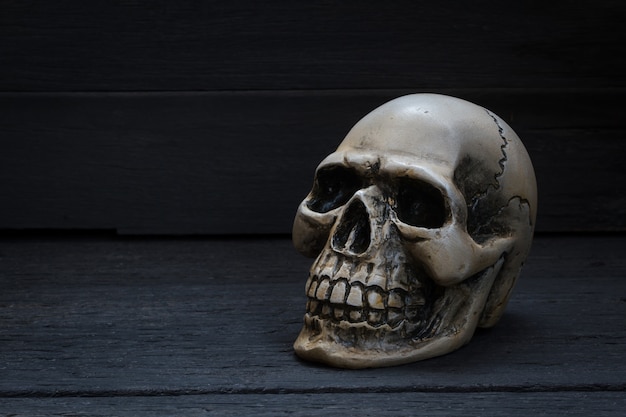 Foto schedel op houten achtergrond.