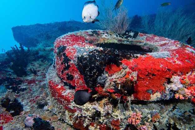 Scheepswrak op de Malediven in de Indische Oceaan