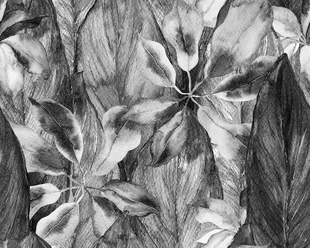 Photo schefflera arboricola seamless pattern. evergreen variegated walisongo plant with exotic flowers. botanical watercolor print. schefflera actinophylla hayata repeated ornament monochrome and greyscale