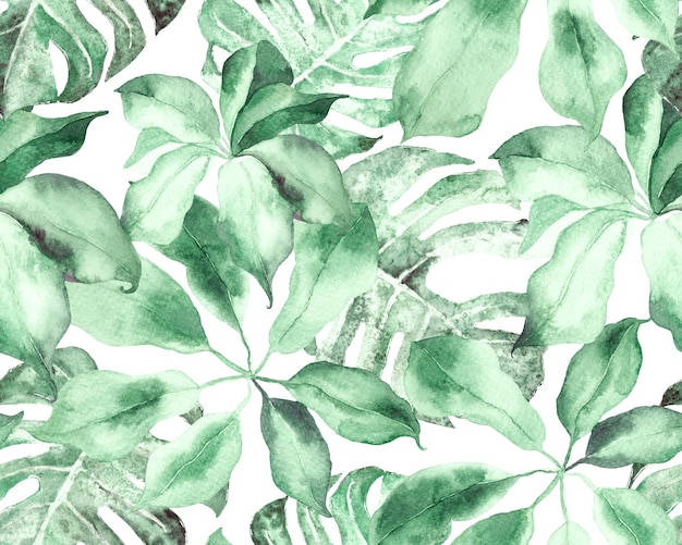 Foto schefflera arboricola seamless pattern. schefflera actinophylla hayata ornamento ripetuto verde e teal evergreen variegata pianta di walisongo con fiori esotici. stampa ad acquerello botanico.