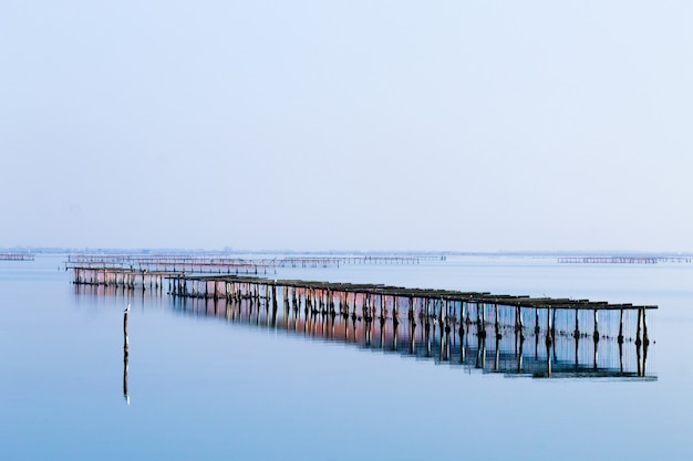 Schelpdierenteelt vanuit de po-rivierlagune