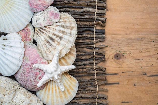 Schelpen op een houten ondergrond