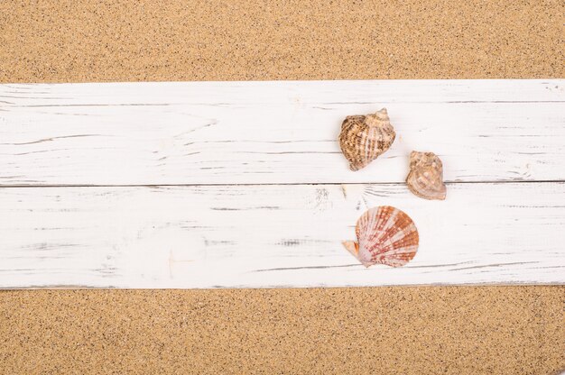 Schelpen op witte houten planken op het zand, kopieer ruimte