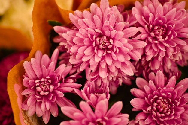 Schenk een boeket bloemen van rode chrysanten