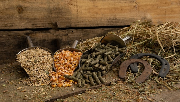 Foto scheplepels met ingrediënten voor paardenvoer