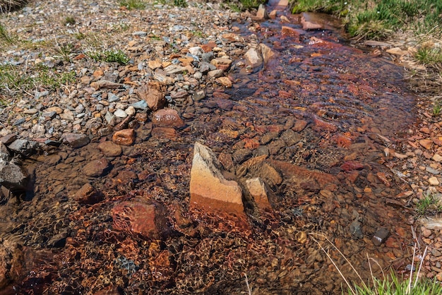 Scherpe steen in heldere waterstroom met bonte steenachtige bodem in zonlicht kleurrijke bergstroom met mineraalwater in felle zon schilderachtig bovenaanzicht op zonovergoten veelkleurige stenen in bronwater