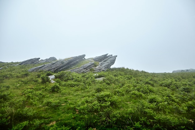 Scherpe stenen op een groene heuvel in de mist