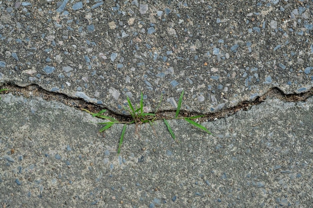 Scheuren in cement muur achtergrond mortel beton