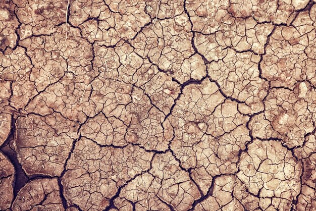 scheuren op de grond woestijn textuur achtergrond aarde klimaat ecologie