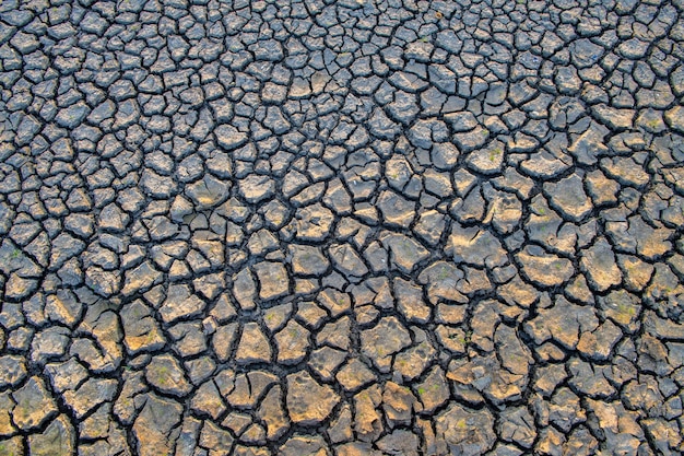 Scheuren op het aardoppervlak veranderen door het krimpen van modder als gevolg van droogte