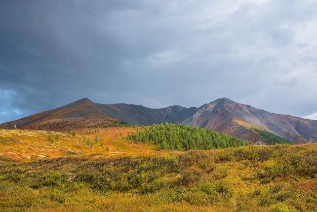 Schilderachtig bont herfstlandschap met bos op zonovergoten veelkleurige heuvel en rotsachtige bergketen onder dramatische hemel Levendige herfstkleuren in bergen Zonlicht en schaduwen van wolken bij veranderlijk weer