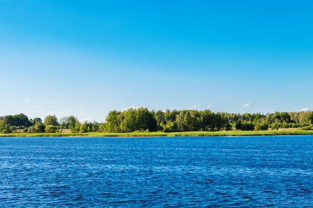 Schilderachtig bos en de rivier