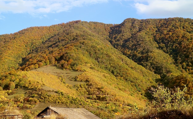 Foto schilderachtig herfstgebladerte op de berghelling met zonnige blauwe lucht