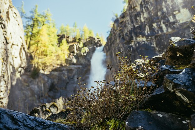 Schilderachtig herfstlandschap met gele struikgewas op rotsen op de achtergrond van verticale grote waterval in de zon. Hoog vallend water en bomen met gouden gebladerte in bokeh. Krachtige grote waterval in kloof.