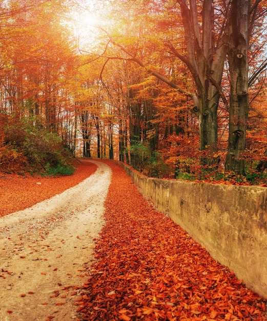 Schilderachtig herfstlandschap