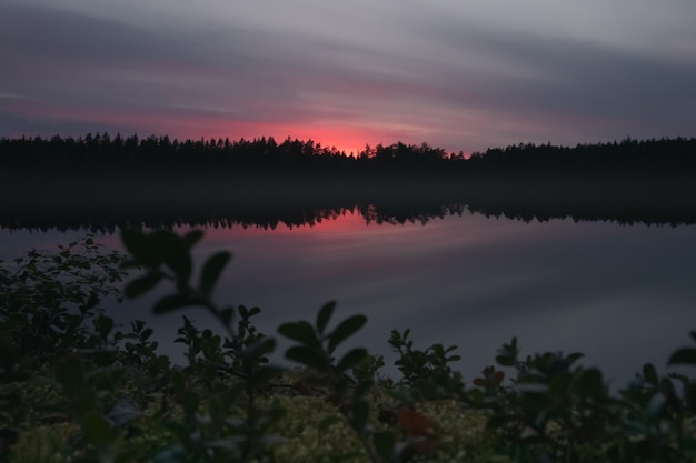 Schilderachtig landschap in de avond Forest Lake Gloed van de ondergaande zon