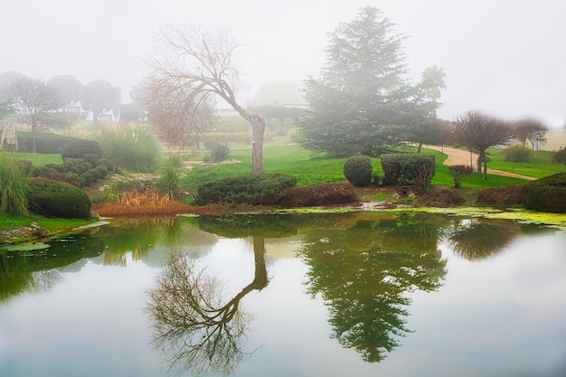 Schilderachtig landschap met bomen weerspiegeld in een meer op een mistige winterochtend.