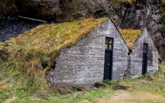 Schilderachtig landschap met groene natuur in IJsland