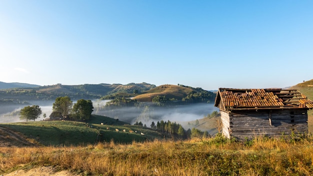 Schilderachtig landschap met oud traditioneel huis op heuvel, Apuseni, Roemenië.