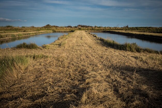 Foto schilderachtig landschap tegen de lucht