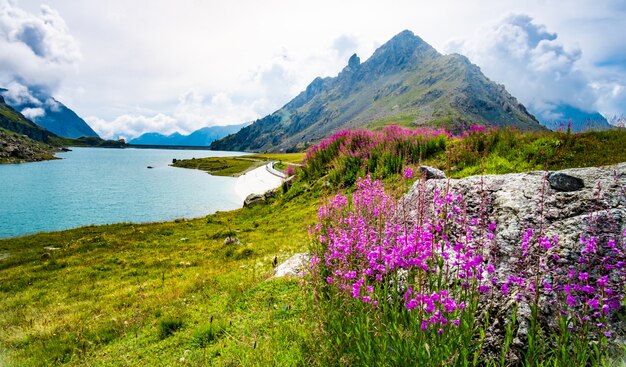 Schilderachtig landschap van de Alpen