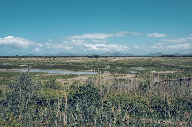 Schilderachtig landschap van met gras begroeide groene vallei met plassen water onder bewolkte blauwe hemel in nationaal park op Mallorca