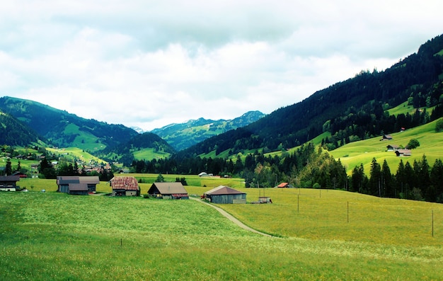 Schilderachtig landschap