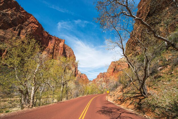 Schilderachtig langs de weg in het Zion National Park Park Road in het voorjaar