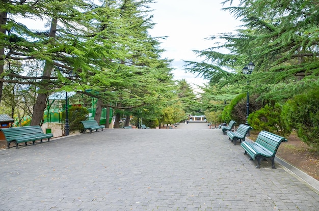 Schilderachtig Mtatsminda-park voor kinderen op de top van de berg in Tbilisi