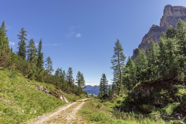 Schilderachtig pad door een kloof in de Dolomieten op een zonnige zomerdag (Natuurpark Puez Odle)