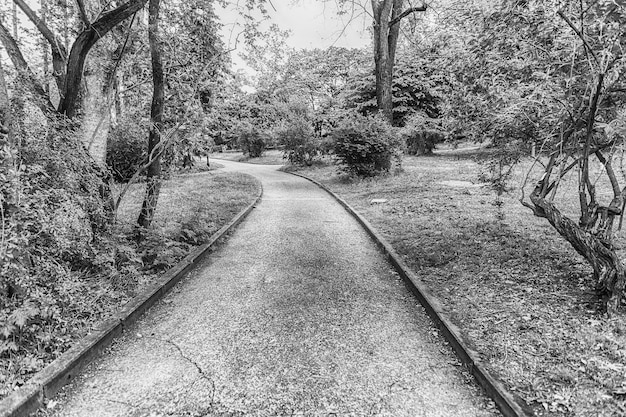 Schilderachtig pad omgeven door de natuur in een openbaar park in het centrum van Rome, Italië