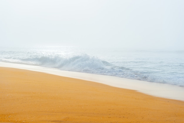 Schilderachtig schilderachtig zeegezicht met mistig strand.