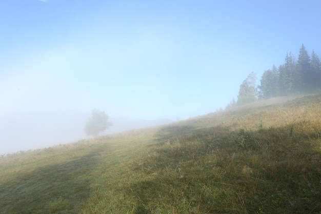 Schilderachtig uitzicht op bergen bedekt met mist