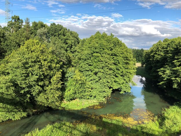 Foto schilderachtig uitzicht op bomen bij het meer tegen de lucht