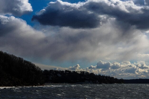 Foto schilderachtig uitzicht op bomen tegen de lucht