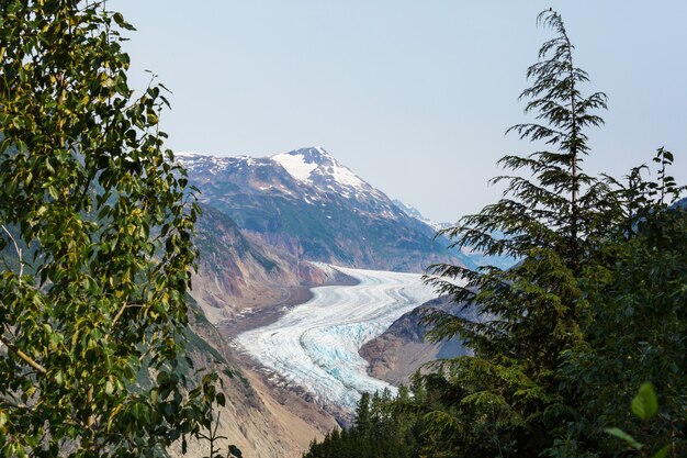 Schilderachtig uitzicht op de bergen in de Canadese Rockies in het zomerseizoen