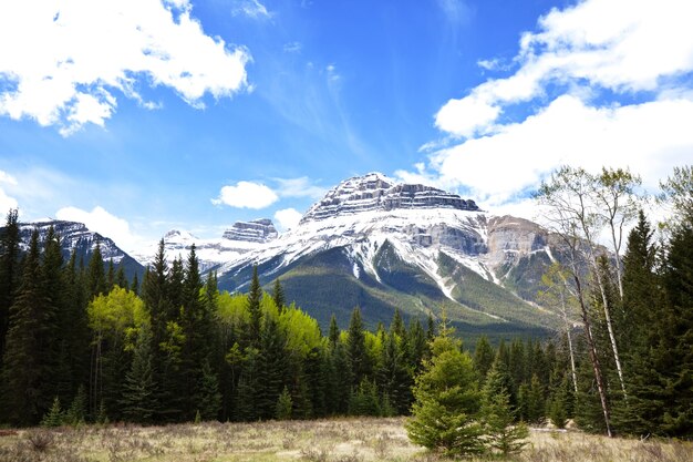 Schilderachtig uitzicht op de bergen in de Canadese Rockies in het zomerseizoen