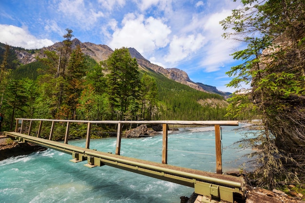 Schilderachtig uitzicht op de bergen in de Canadese Rockies in het zomerseizoen