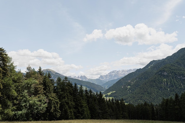 Schilderachtig uitzicht op de bergheuvel, boslucht en wolken Schilderachtig natuurlandschap Zomervakantiereizen