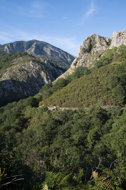 Schilderachtig uitzicht op de bergketen Picos de Europa buiten Labra, Asturias, Spanje