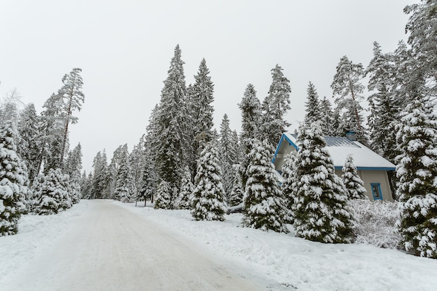 Schilderachtig uitzicht op de besneeuwde weg met pijnbomen en een houten huisje.