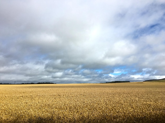 Schilderachtig uitzicht op de boerderij tegen een bewolkte lucht