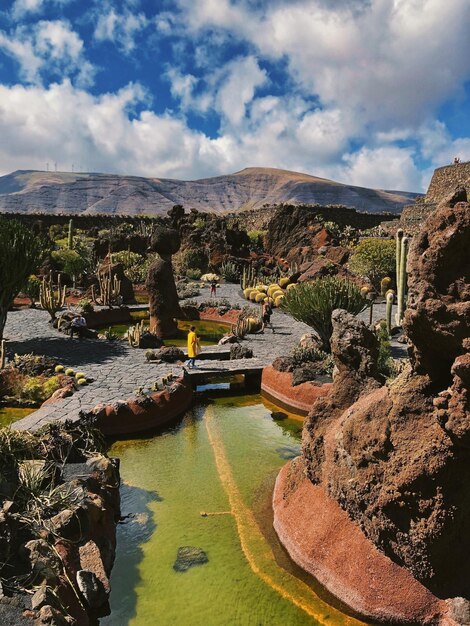 Foto schilderachtig uitzicht op de cactustuin in lanzarote tegen een bewolkte lucht