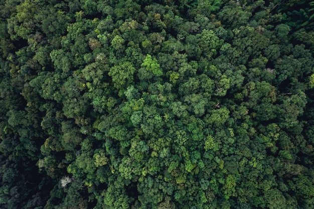 Schilderachtig uitzicht op de majestueuze bergketen in de zomer