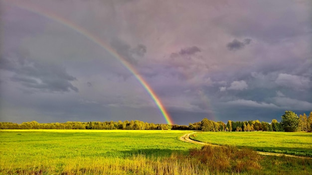 Schilderachtig uitzicht op de regenboog over het veld tegen de lucht
