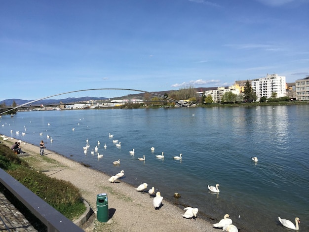 Foto schilderachtig uitzicht op de rivier door de stad tegen de lucht