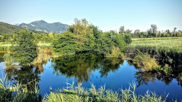 Schilderachtig uitzicht op de rivier en bomen tegen de lucht