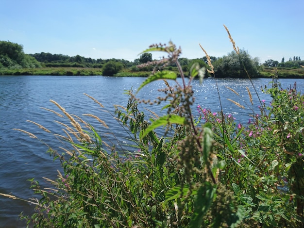 Schilderachtig uitzicht op de rivier tegen een heldere lucht