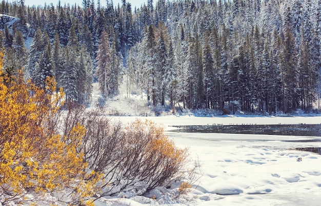 Schilderachtig uitzicht op de Sierra Nevada Mountain herfstbladeren landschap CaliforniaUSA