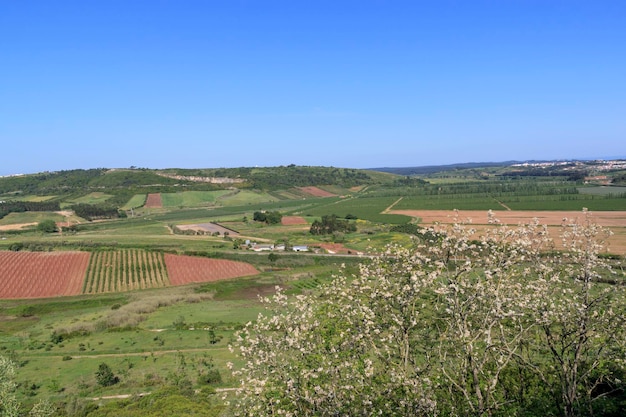 Schilderachtig uitzicht op de vallei vanaf de muur van het fort van Obidos Portugal Geploegde velden en bomen Portugees dorp Zonnige zomerdag